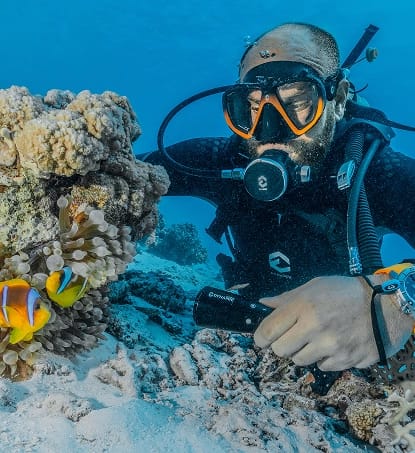 Diving